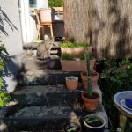 PHOTO-2020-05-05-18-28-24