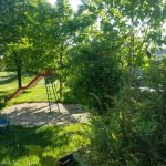 PHOTO-2020-05-05-18-29-43