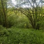 PHOTO-2020-05-05-21-37-45