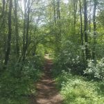 PHOTO-2020-05-05-21-38-29