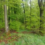 PHOTO-2020-05-05-21-54-55