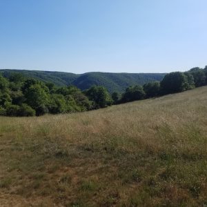 Wanderroute - Moselblick
