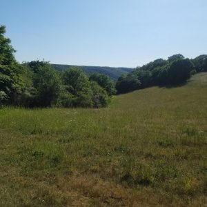Wanderroute - Moselblick