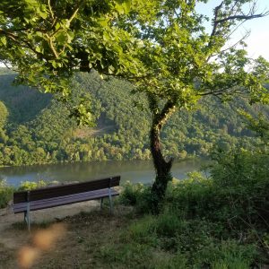 Wanderroute - Moselblick