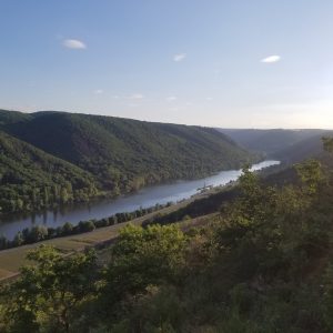 Wanderroute - Moselblick