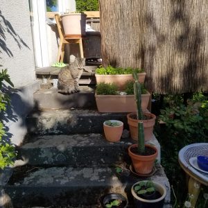 PHOTO-2020-05-05-18-28-24