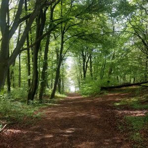 PHOTO-2020-05-05-21-54-48