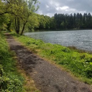 PHOTO-2020-05-05-21-54-51